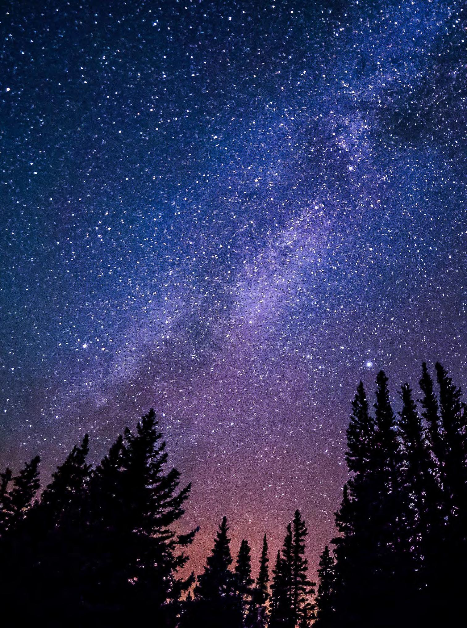 FC Bayern München gewinnt 3:0 gegen Gladbach | TikTok, image size:1513x2034