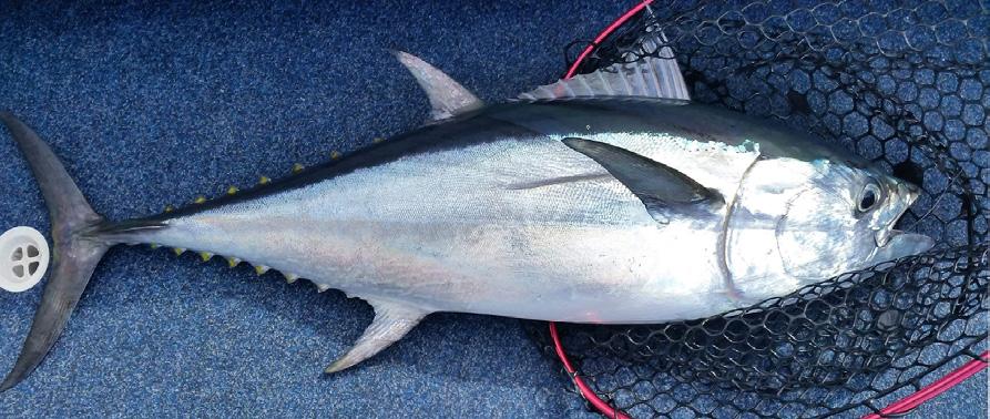 Fishing Monthly Magazine | September 2024 by Fishing Monthly
