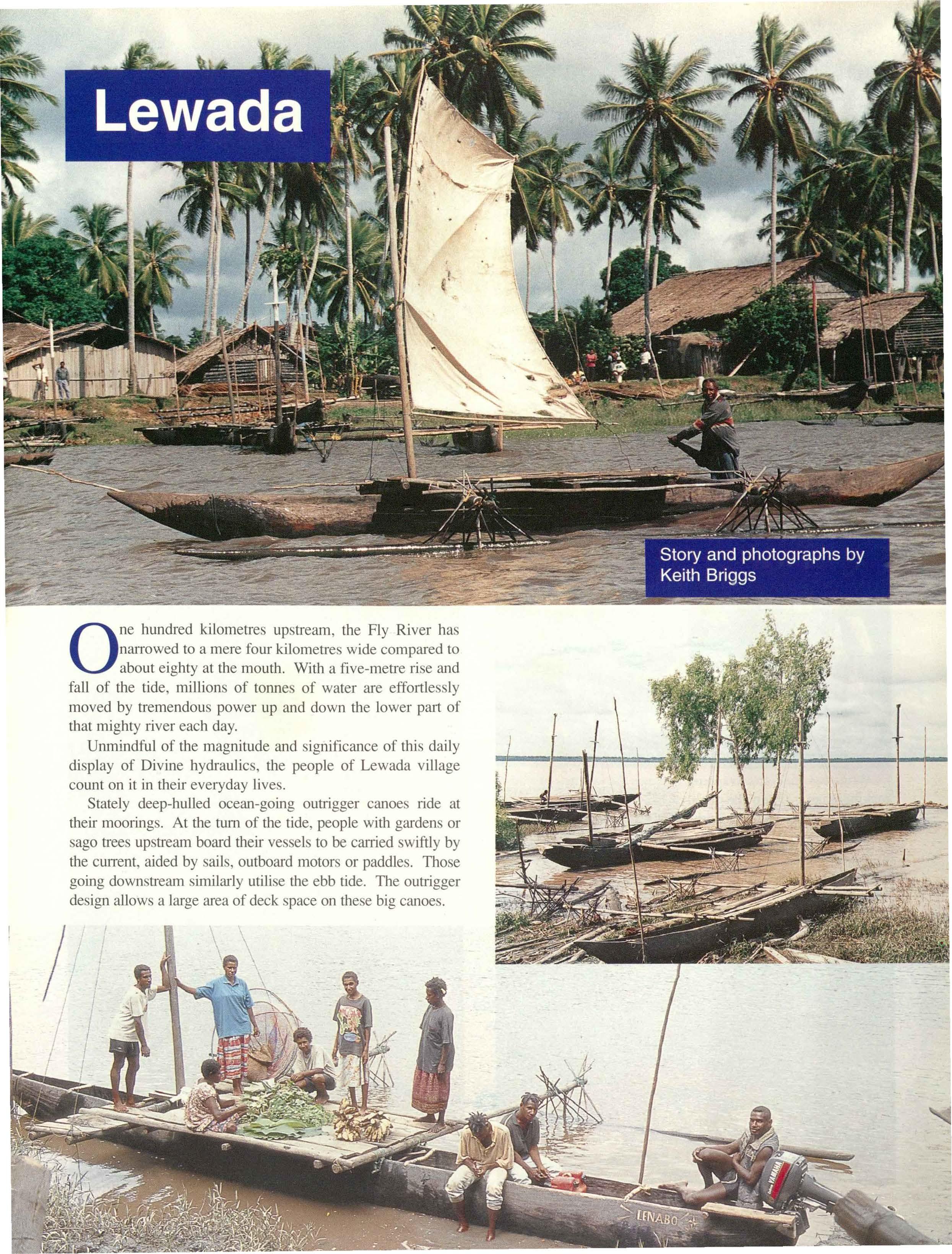 Katta boshli jinsiy olatni