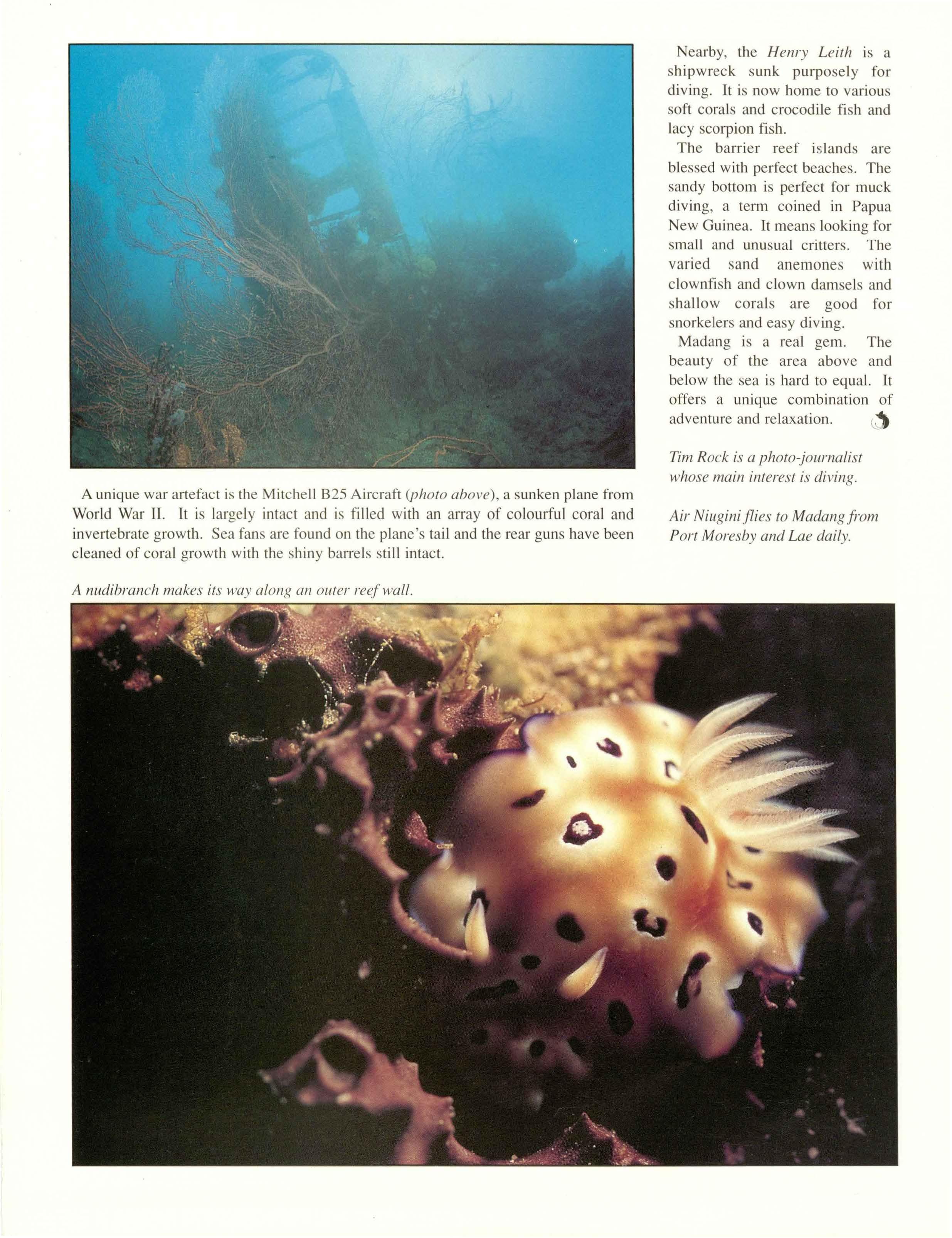 SEX AGENCY in Port Moresby Anal Girl in Port Moresby