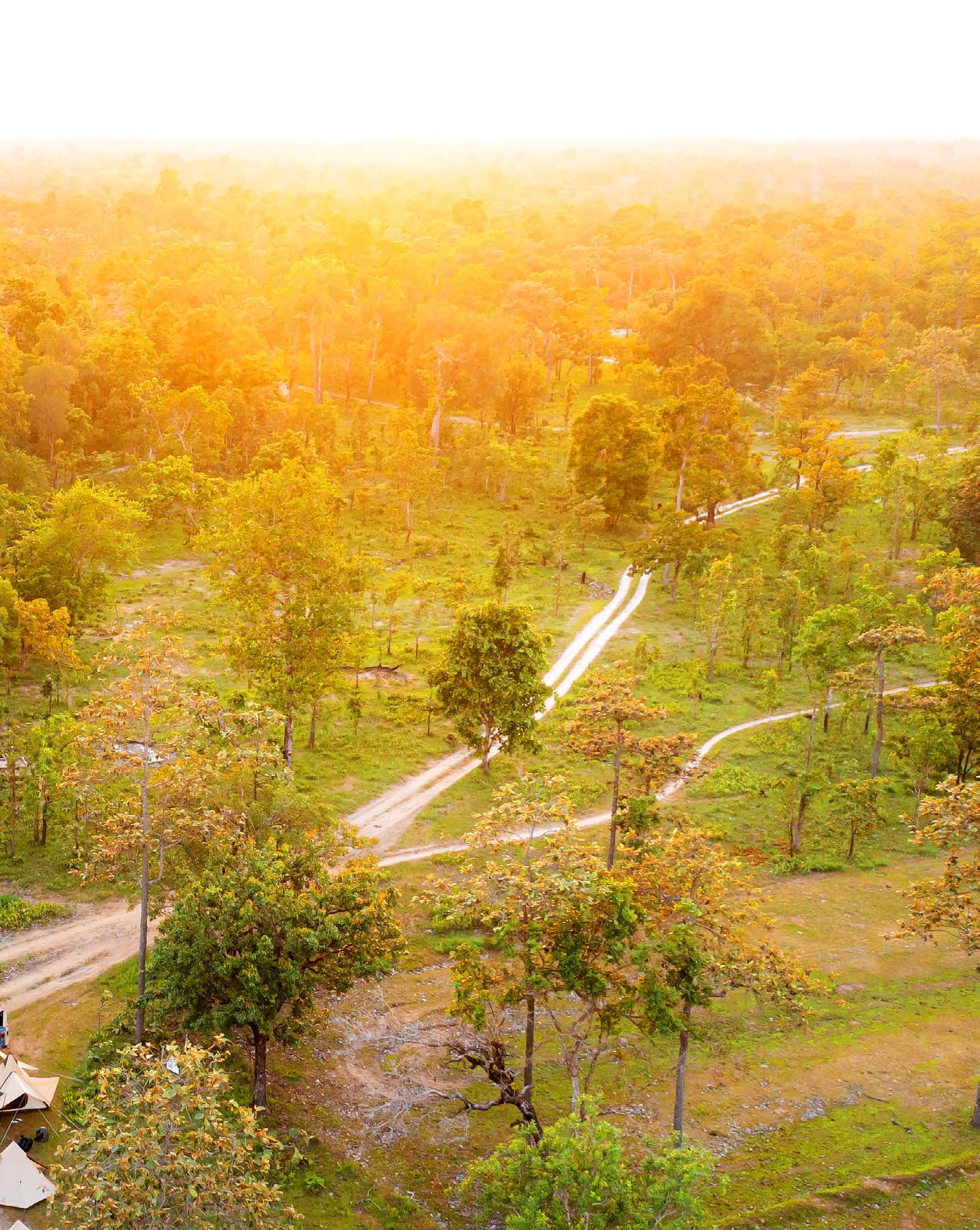 THE WILD WONDERS OF CENTRAL LAOS