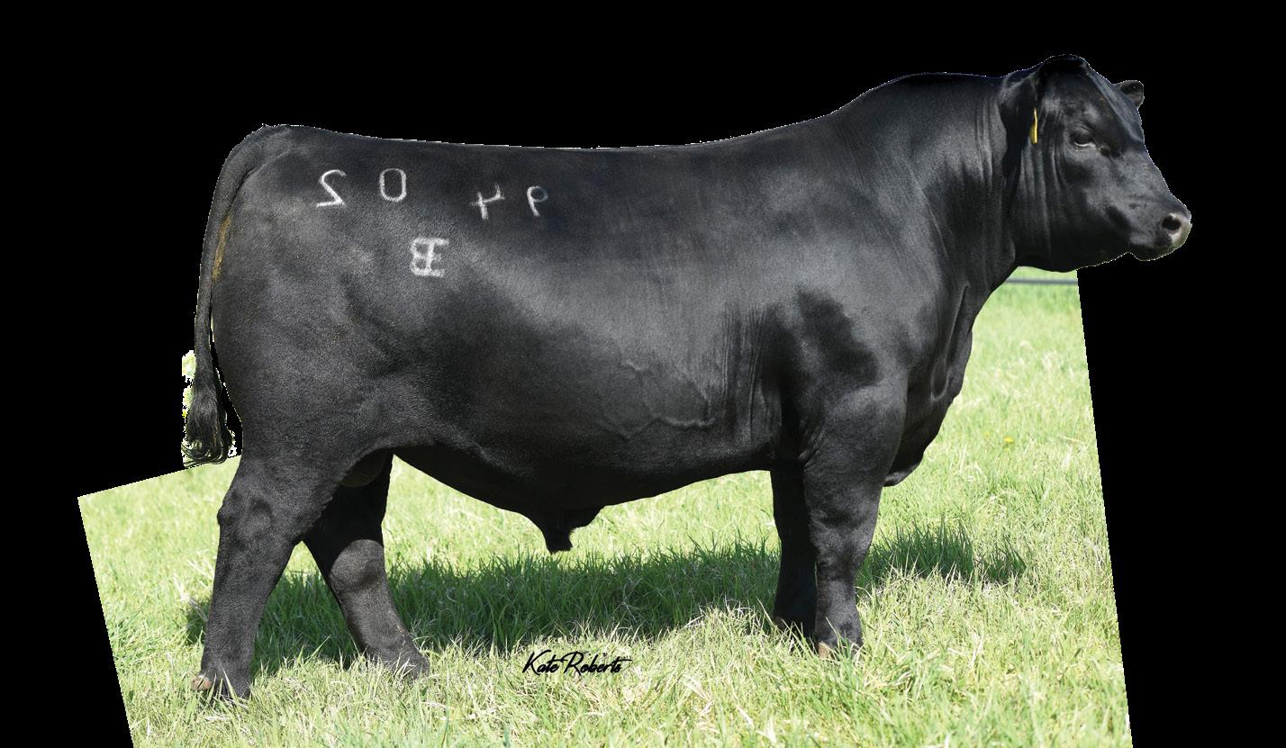 ☆A Grade Beef☆ G-rap Frontiere Natural Meats Wagyu 80/20 Ground Beef, 16 oz - Ralphs