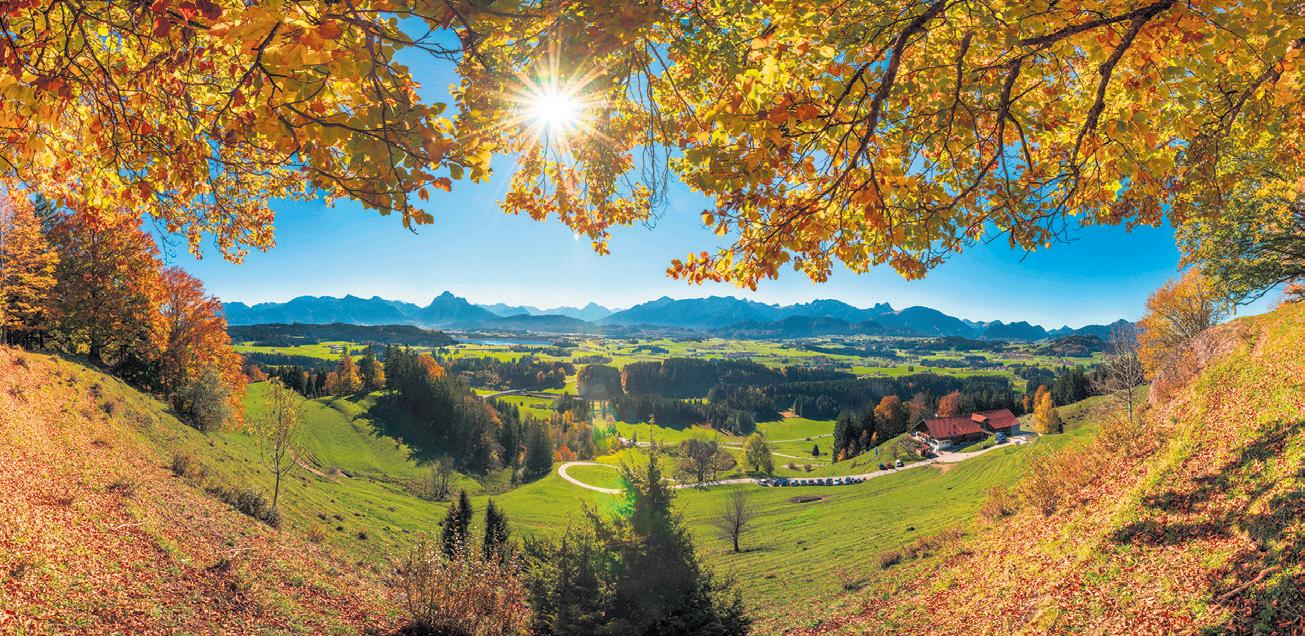 ABC in KMC: Altweibersommer