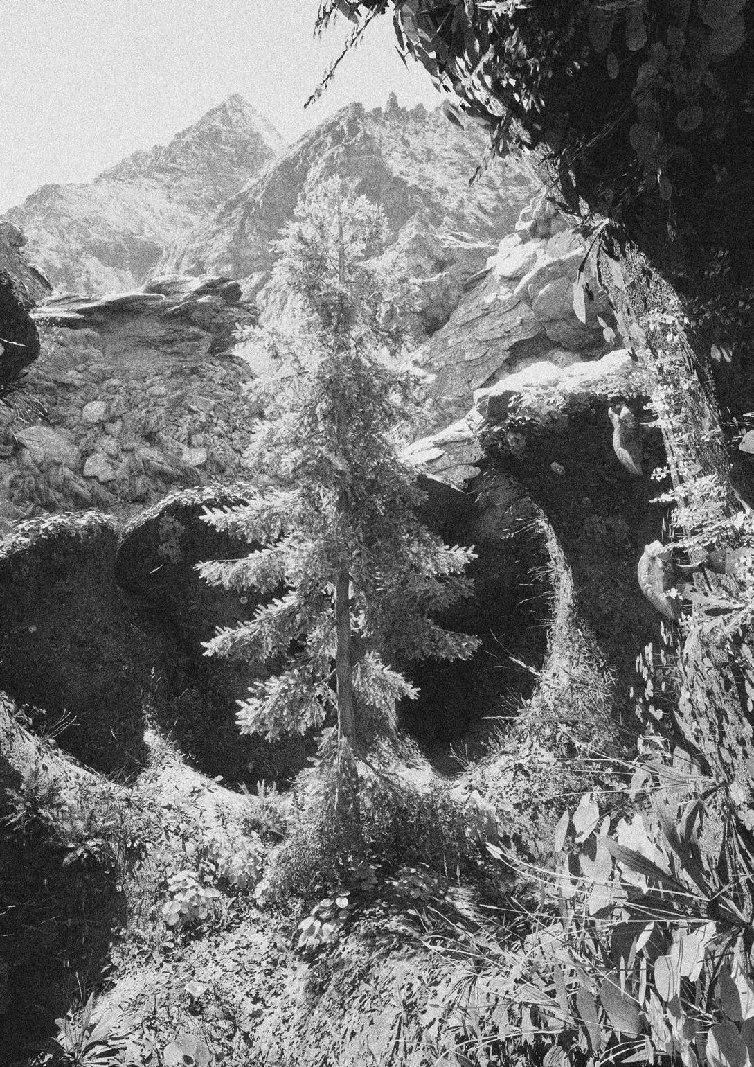 Rethinking Anthropocene Architecture At Altitude I Pt. 1 by Marthe Van  Rompaey - Issuu, image size:1089x1540