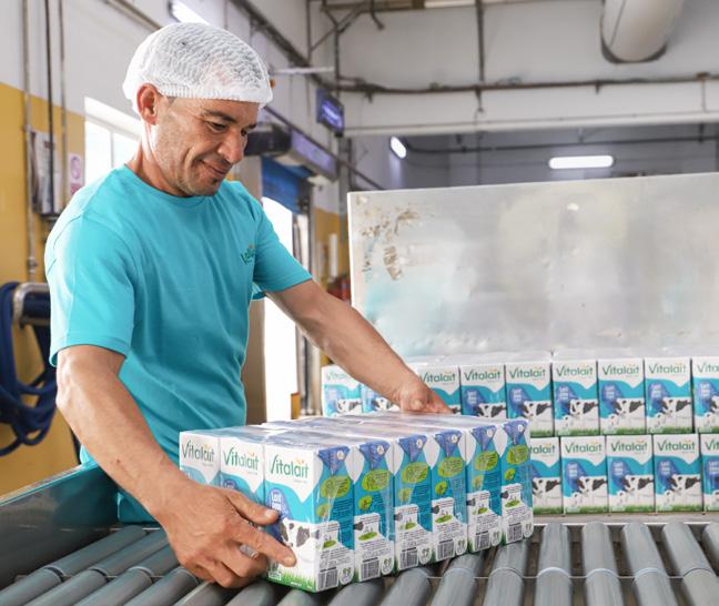 Emmi Link #3 2024 E-Magazine (ES) by