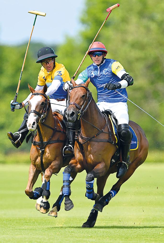 CLUBHAUS Active Polo “handicap is high” CLUBHAUS Active Polo “handicap is high”(Autumn 2024 by