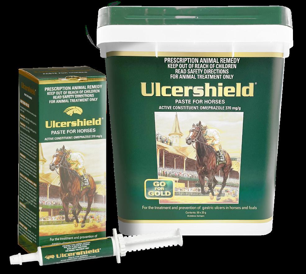 競馬サイン三本の矢 誰も知らない競馬サイン+重賞回数サイン＋時事ニュースサイン 競馬サイン三本の矢 誰も知らない競馬サイン+重賞回数