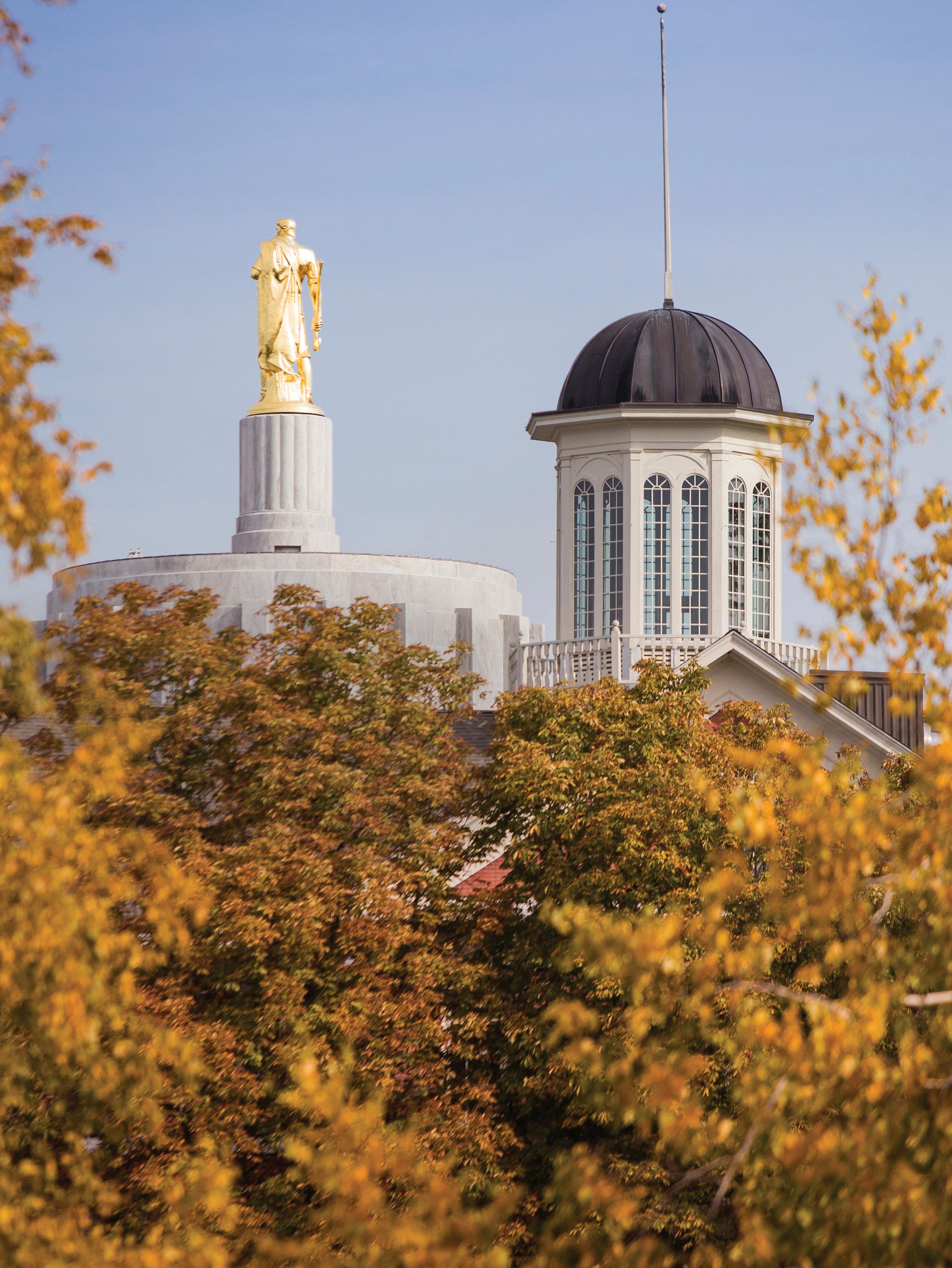 Willamette Law's Signature Strengths