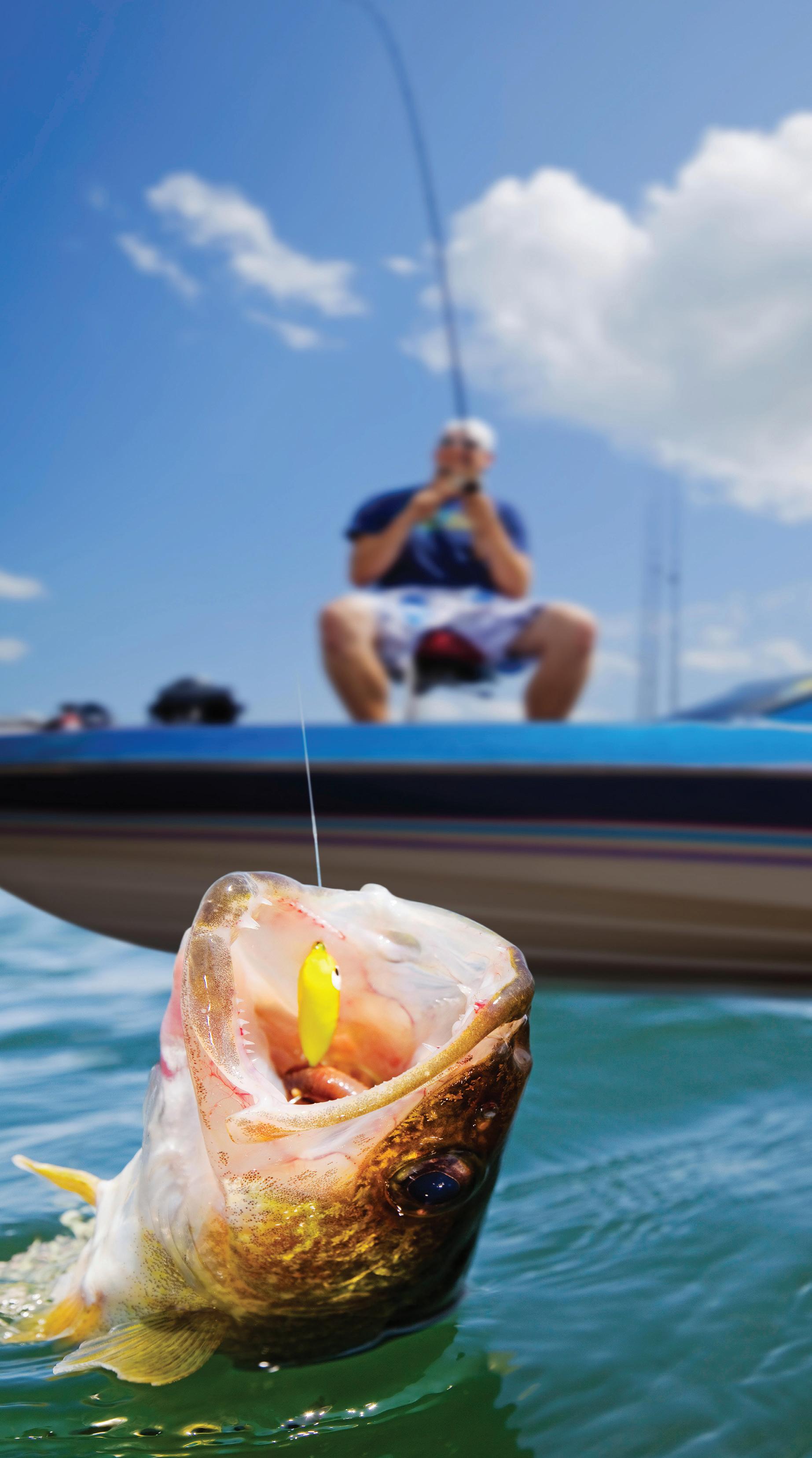 The Angler Video Magazine 2025 Media Kit by Coastal Angler Magazine Issuu