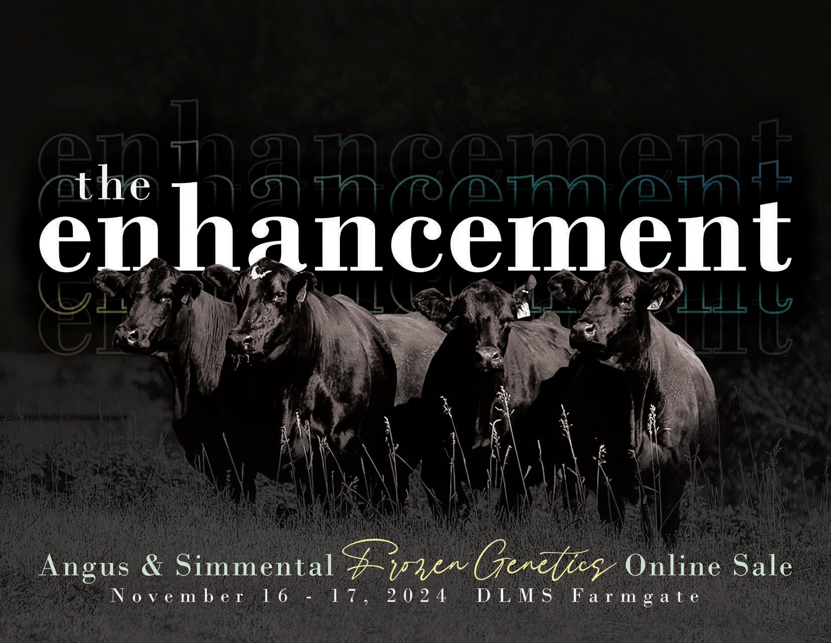 The Enhancement Angus & Simmental Frozen Sale by Today's