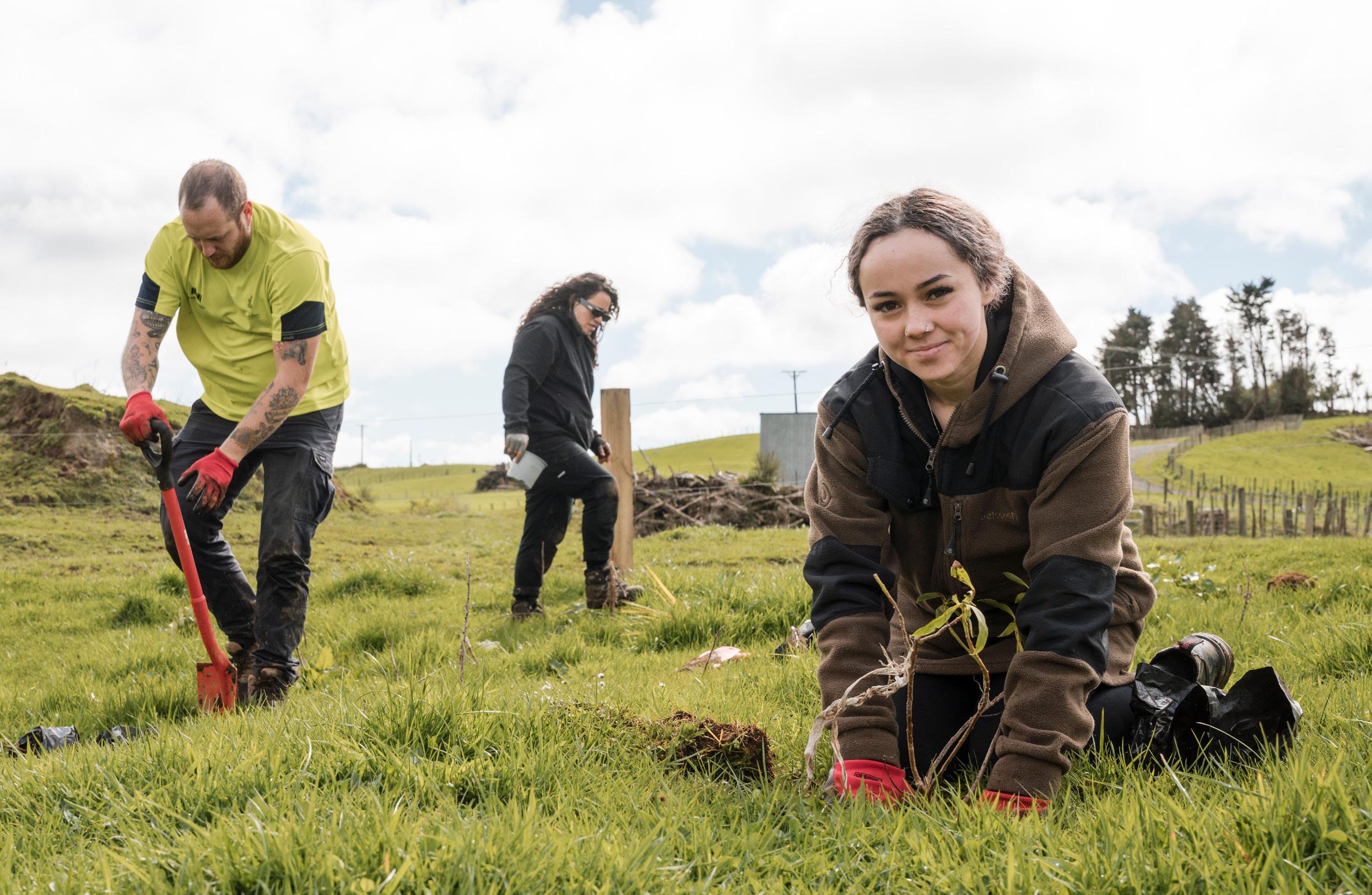 Tumu Whakarae - CEO Report