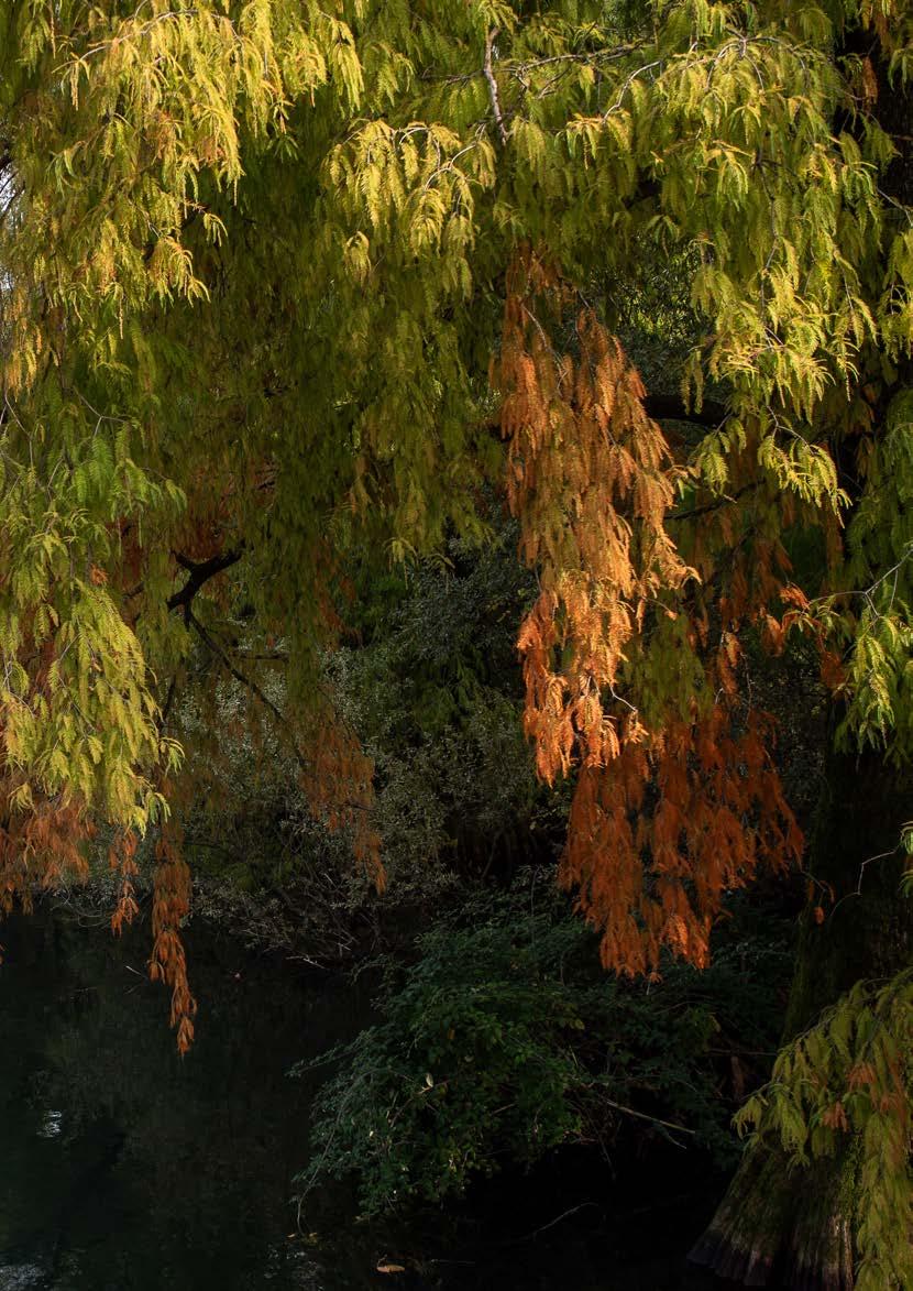 La patria; geografia dell' Italia. Cenni storici, costumi, topografia,  prodotti, industria, commercio, mari, fiumi, laghi, c, image size:830x1173