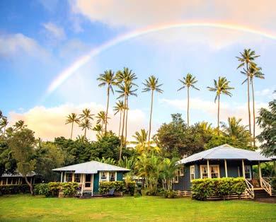 Celebrating 40 Years  of Hospitality - Hawaii