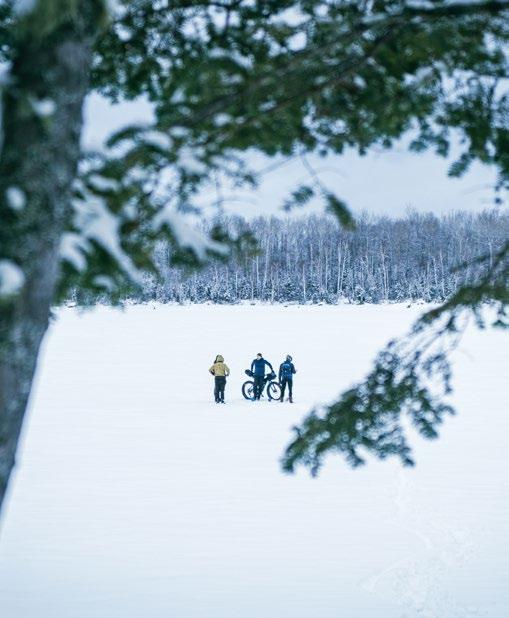 L'appel De La Forêt N°56 - 2025 - Terre Sauvage Magazine