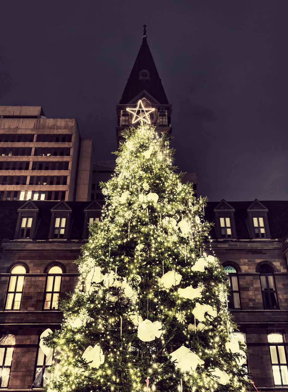 2024 The Holiday Guide by elacopo Issuu 2024 The Holiday Guide by elacopo Issuu