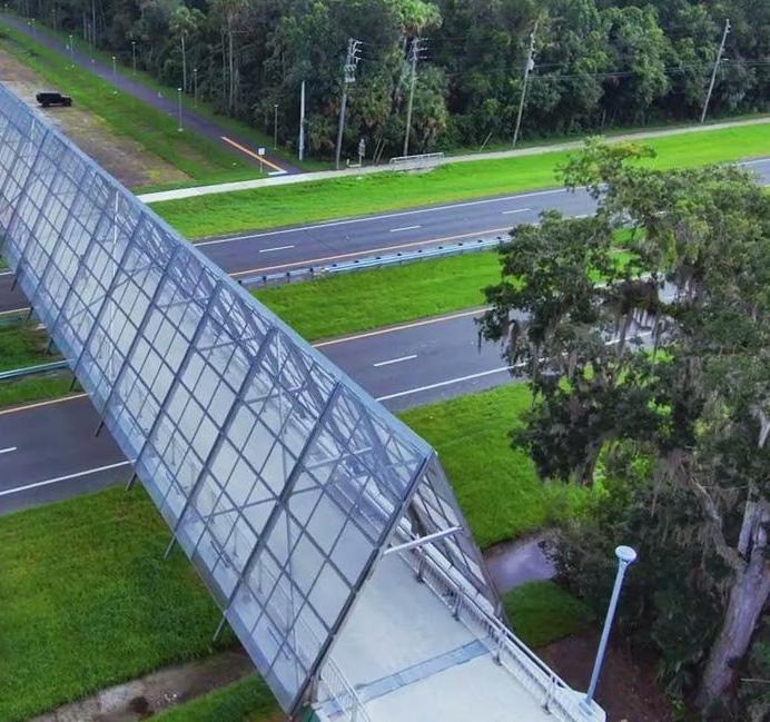 Cover for Constructing Community in Flagler County: Graham Swamp Trail and Pedestrian Bridge