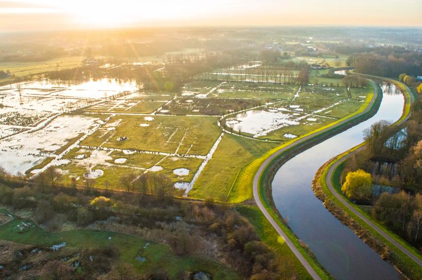 De natuurherstelwet .... eindelijk!