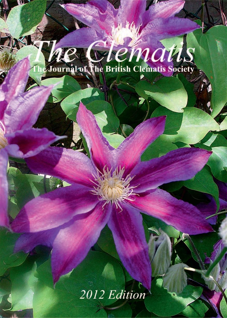 Clematis Journal 2012 by TGDH - Issuu 