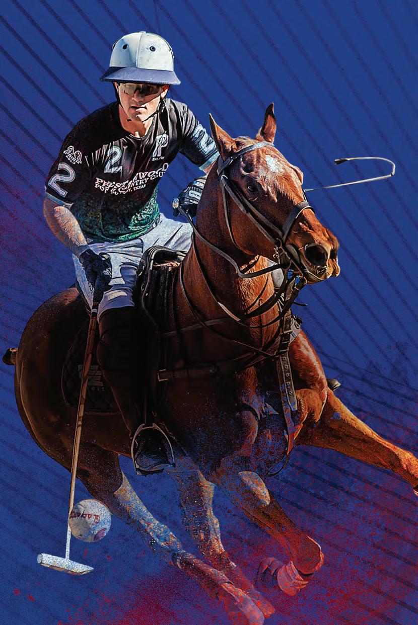 Wisconsin volleyball.nude video