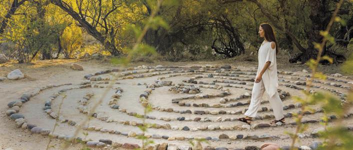 Find Your Well Way at Canyon Ranch