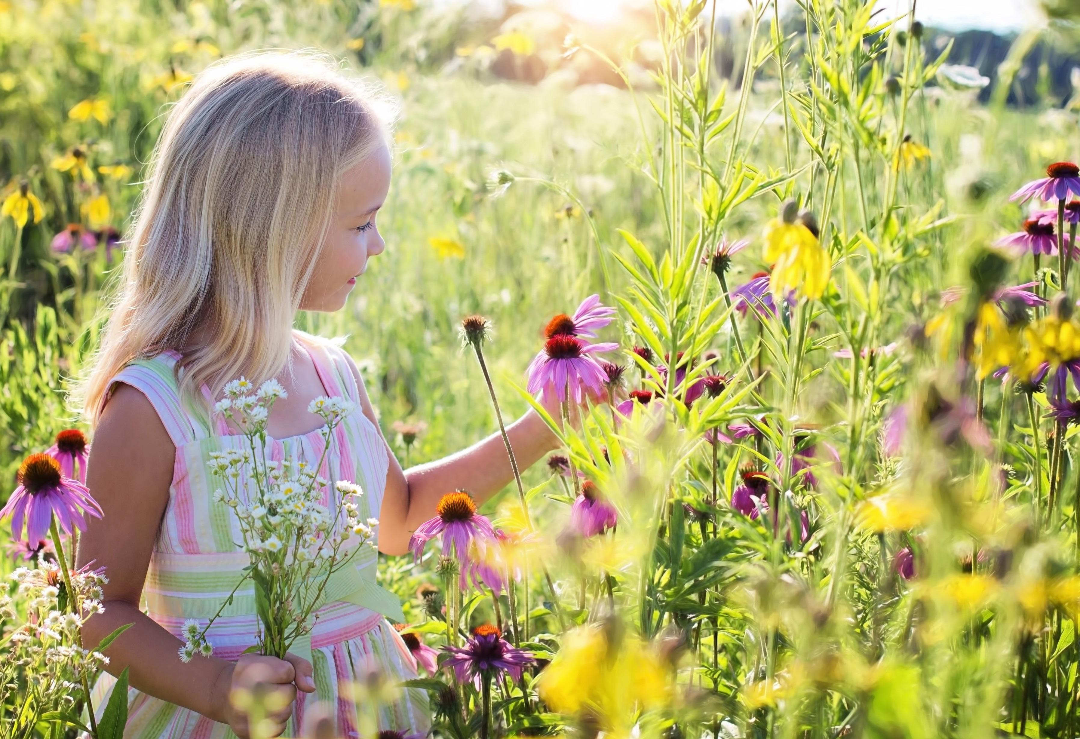 Special Feature - Science & Nature
