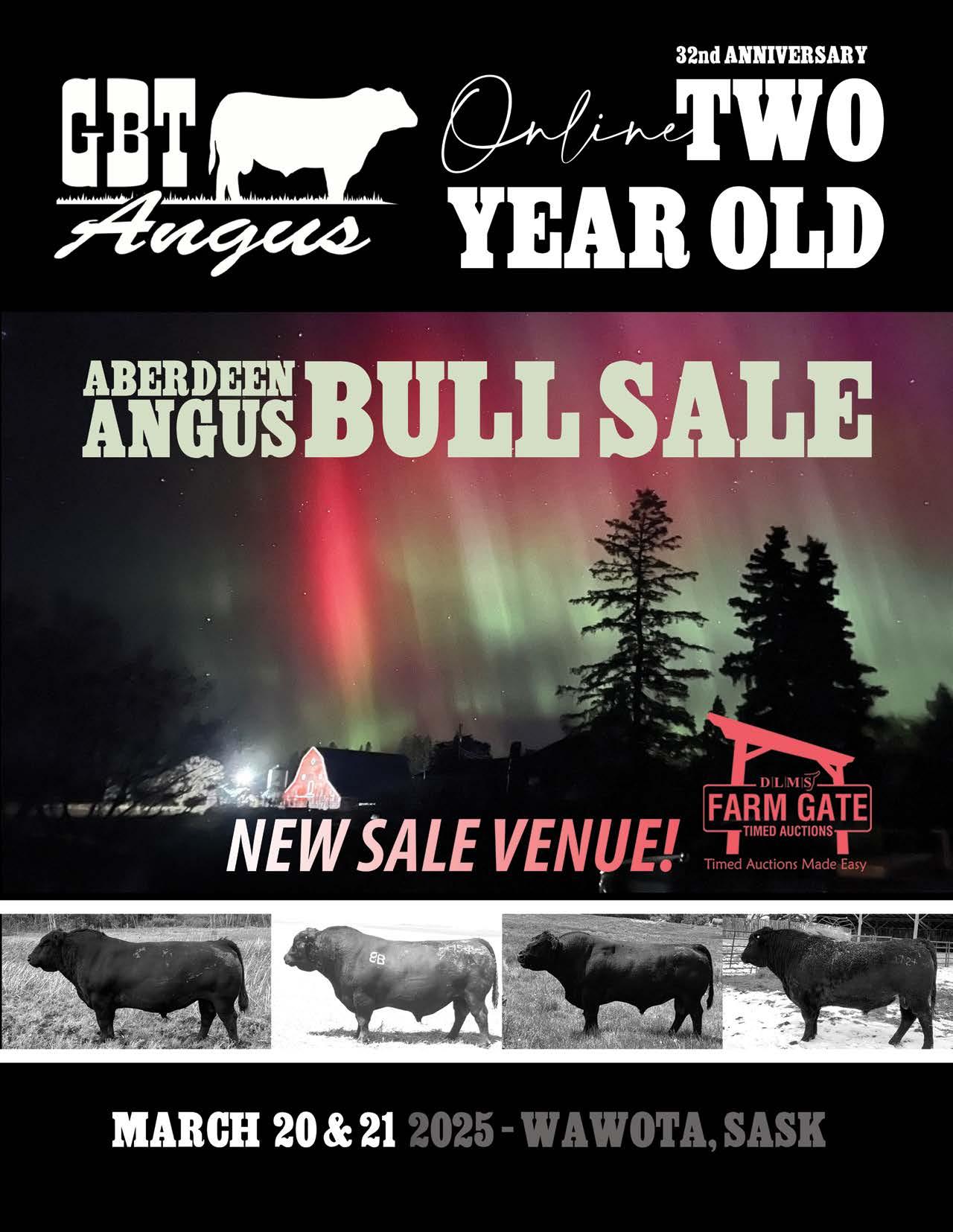 GBT Angus 2 Year Old Bull Sale 2025 by DLMS-Cattlevids.ca