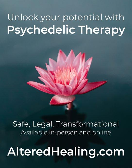 HALIFAX VISITOR GUIDE 2025 visual data 5