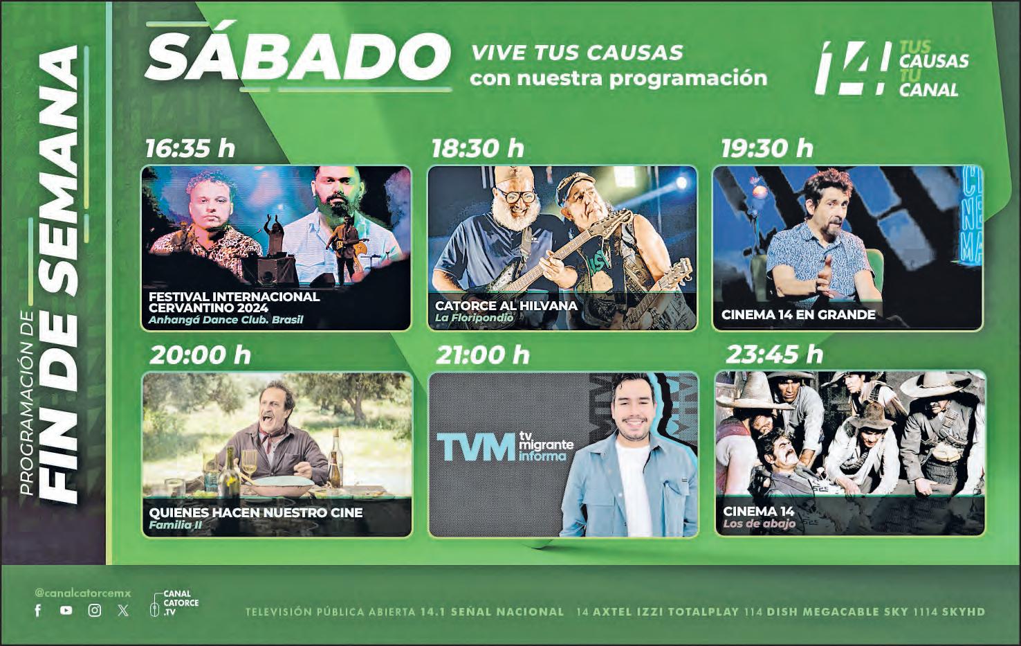 Bichos e demais familia: febreiro 2025, image size:1476x933