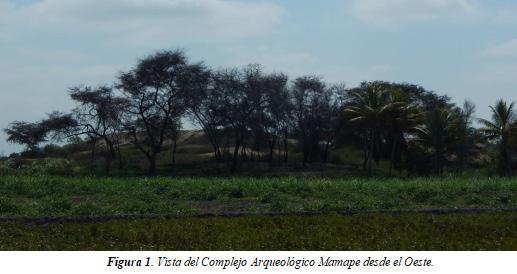 UN ESPACIO DE MANEJO HIDRÁULICO Y AGRÍCOLA EN EL VALLE MEDIO DE LAMBAYEQUE