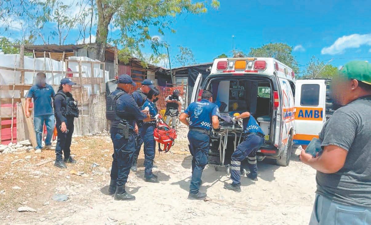 Yankees confirman que Oswaldo Cabrera sufrió fractura – Telemundo New York  (47), image size:1206x731