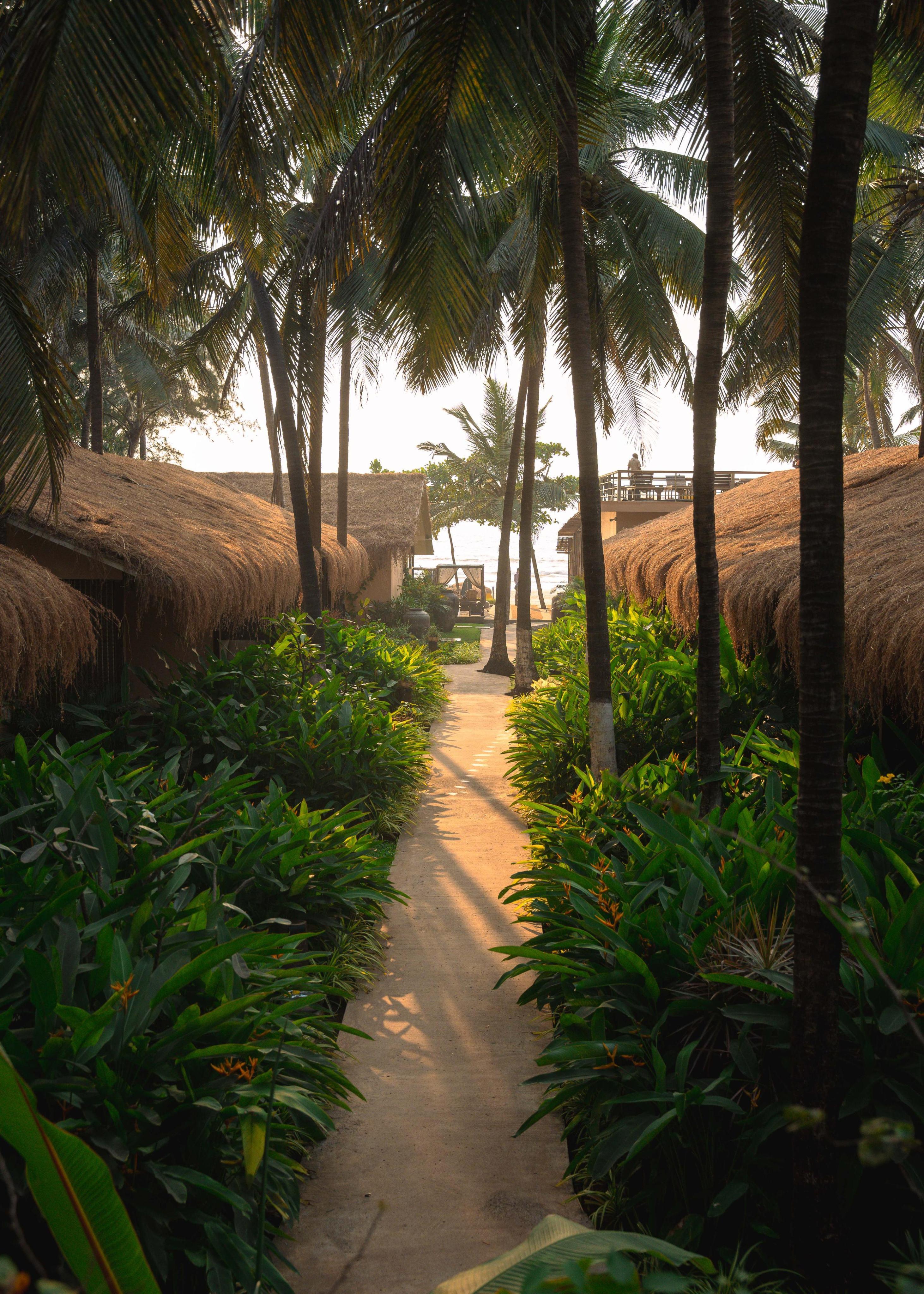 Palma Resort