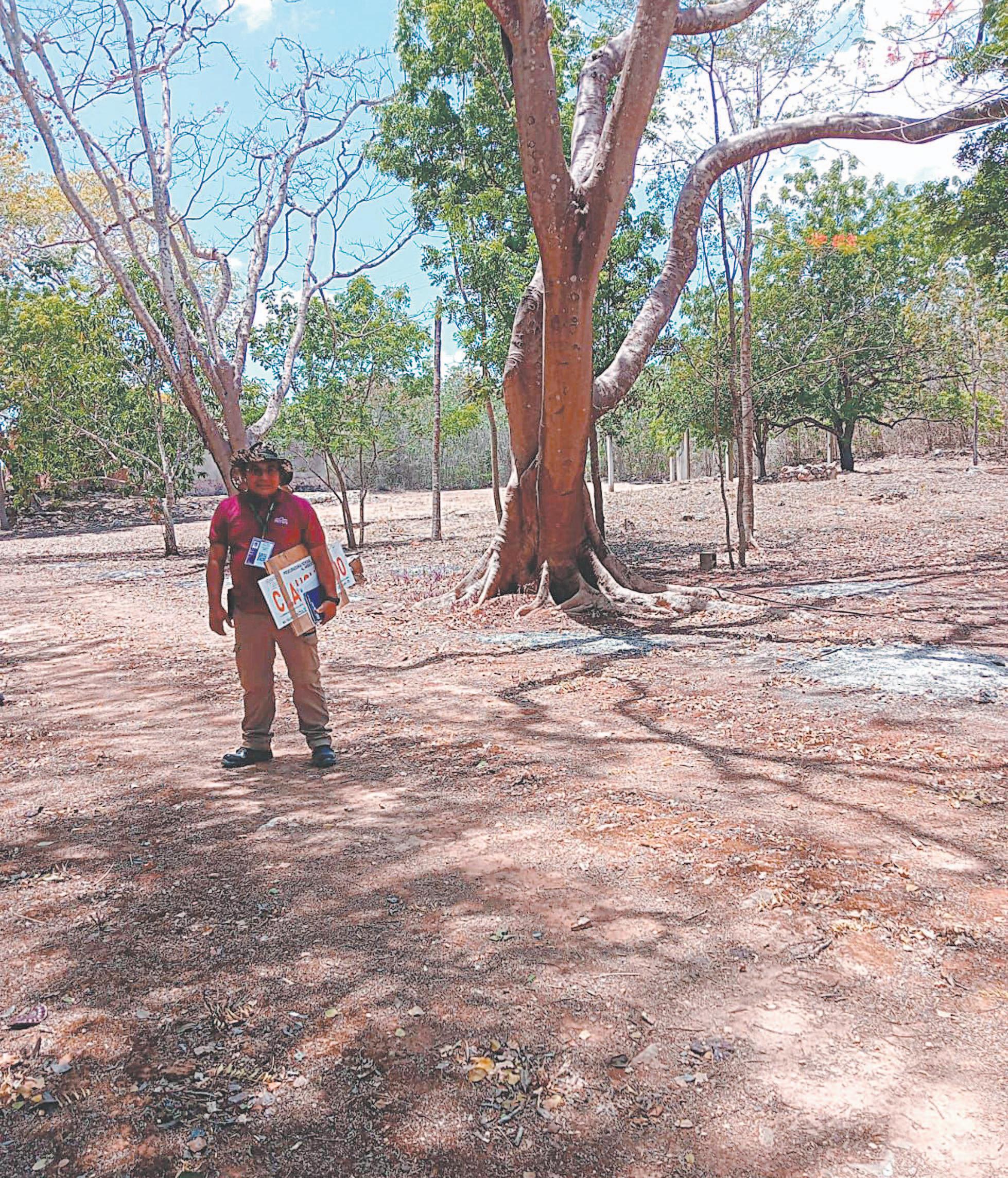 PORTADA POR ESTO MERIDA, MARTES 20 DE MAYO DE 2025 by PorEsto! - Issuu