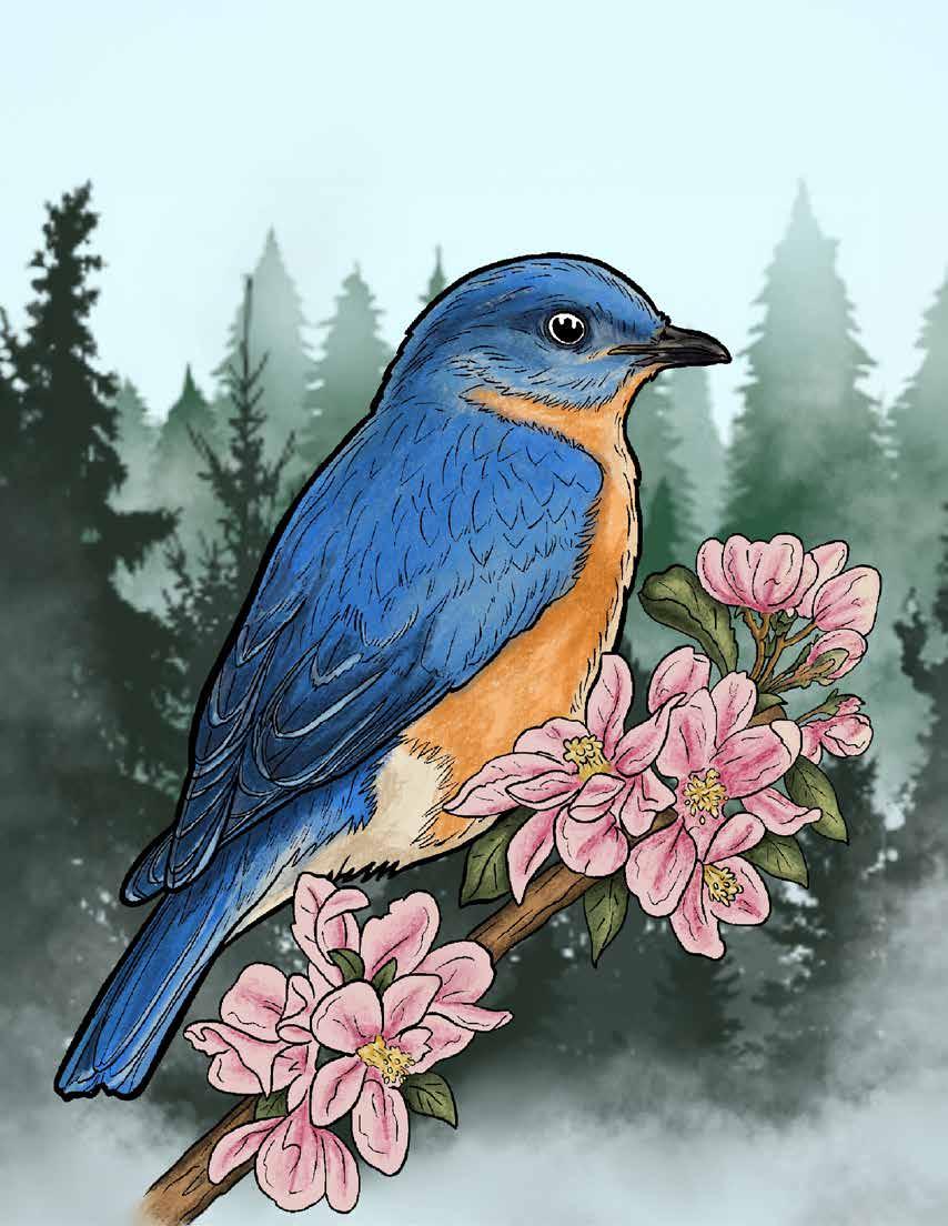 Wild Birds Unlimited Catalog 2025 by Fox Chapel Publishing Issuu
