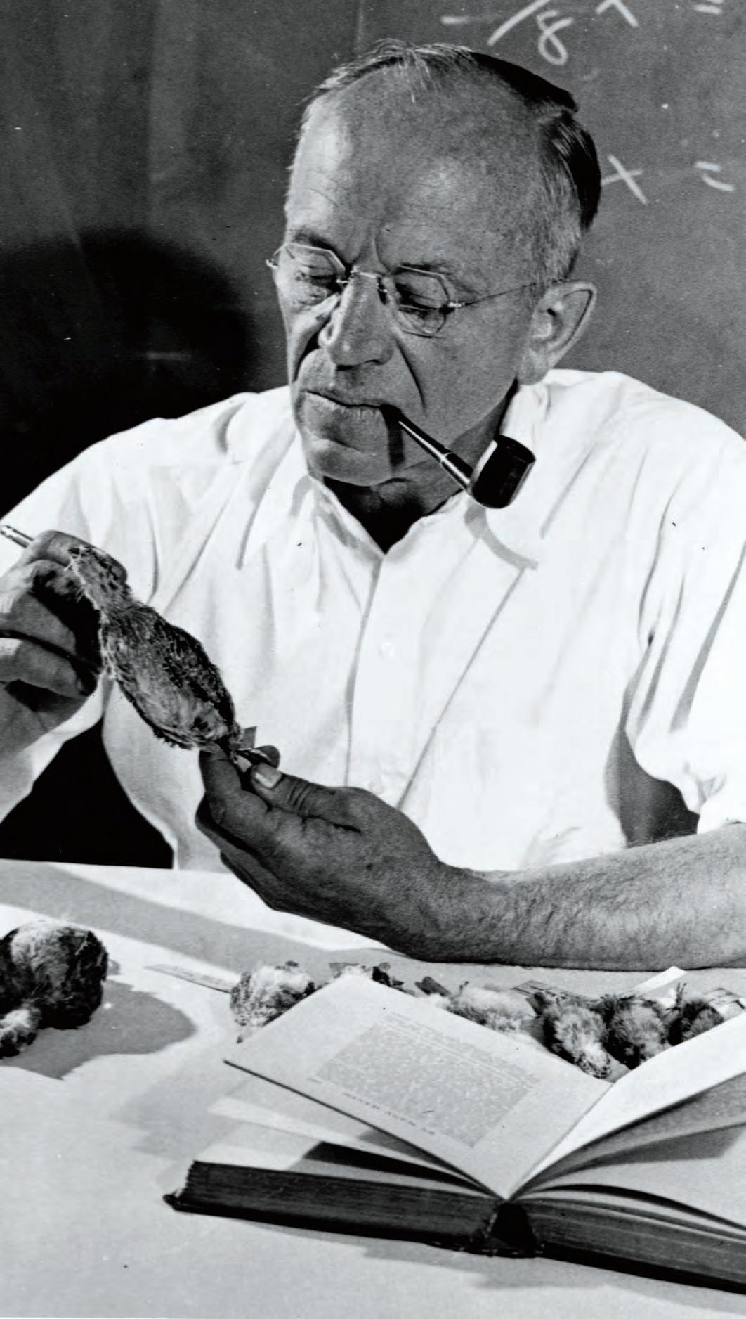 5 Questions About Aldo Leopold