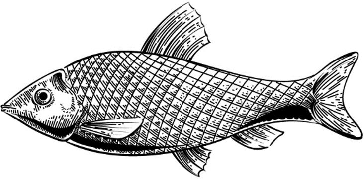 OPS_STAND_NEU by Remimag Gastronomie AG - Issuu