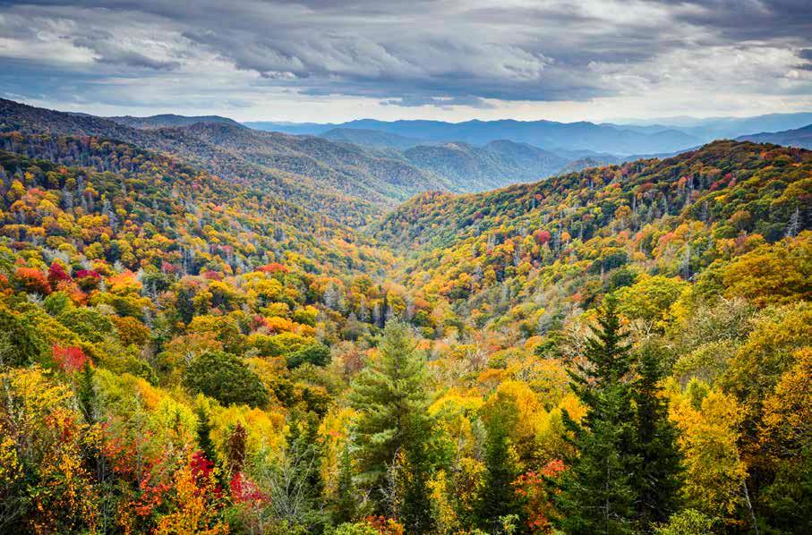 VACATION IN THE GREAT SMOKY MOUNTAINS