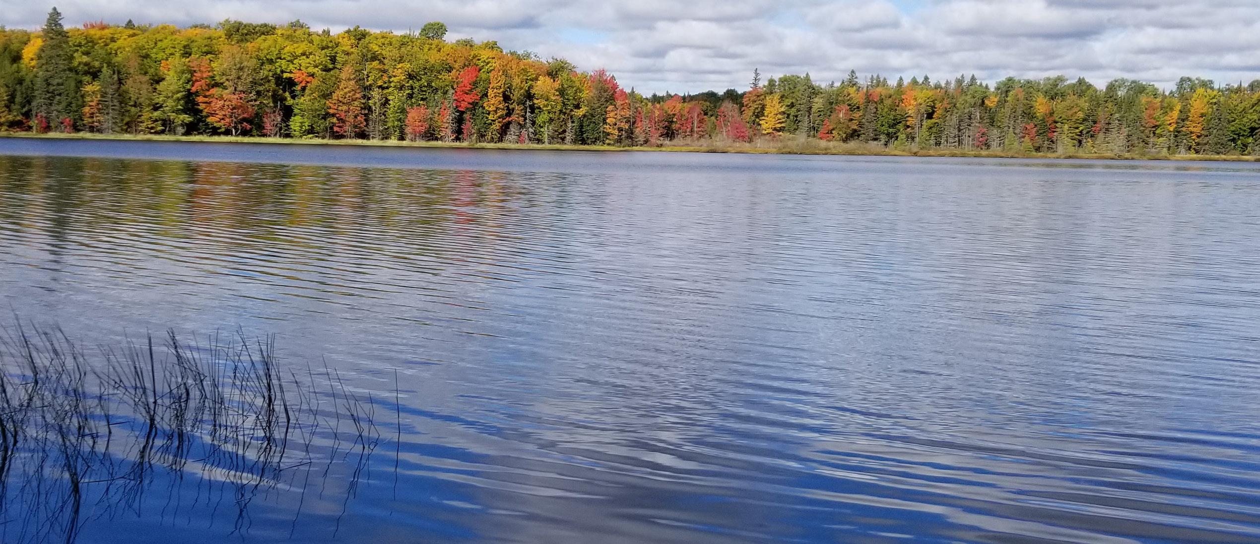 Pin This Property: Turtle-Flambeau Scenic Waters Area
