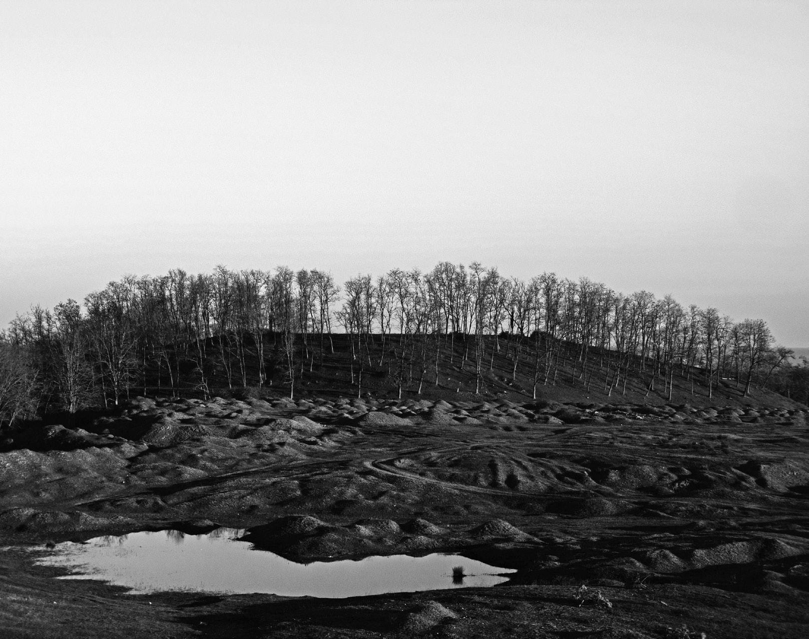 Ciclo Literario y de Diseño No. 176 by Universidad Gestalt de Diseño - Issuu