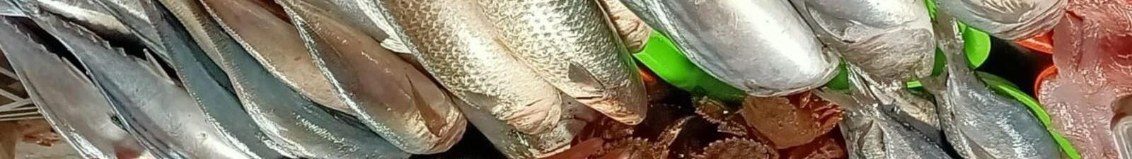 LOS PRECIOS DEL PESCADO EN LA CIUDAD DE CARACAS Y SU COMPORTAMIENTO (Septiembre 2025)