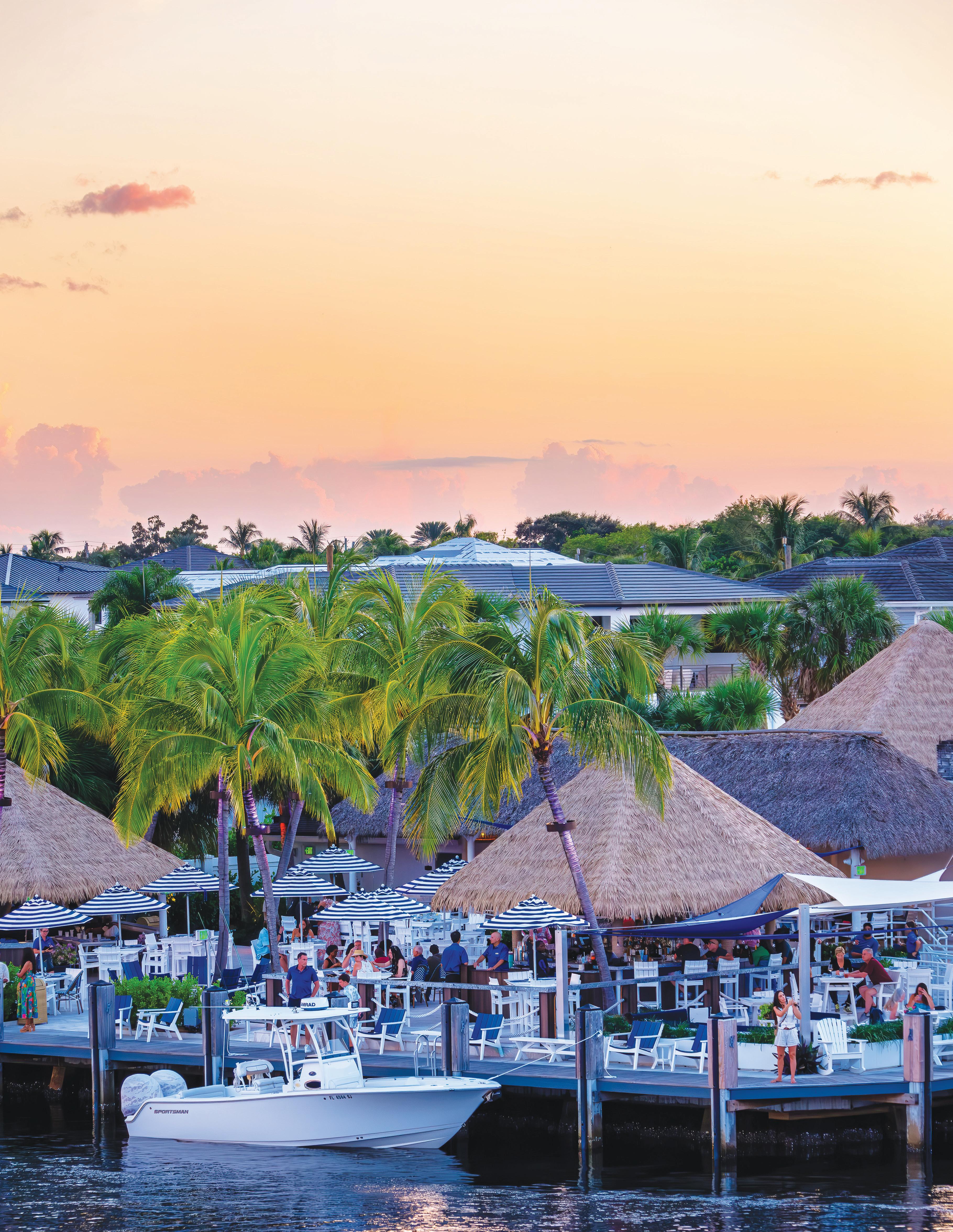 Waves of Renewal: Shaping the Marina District