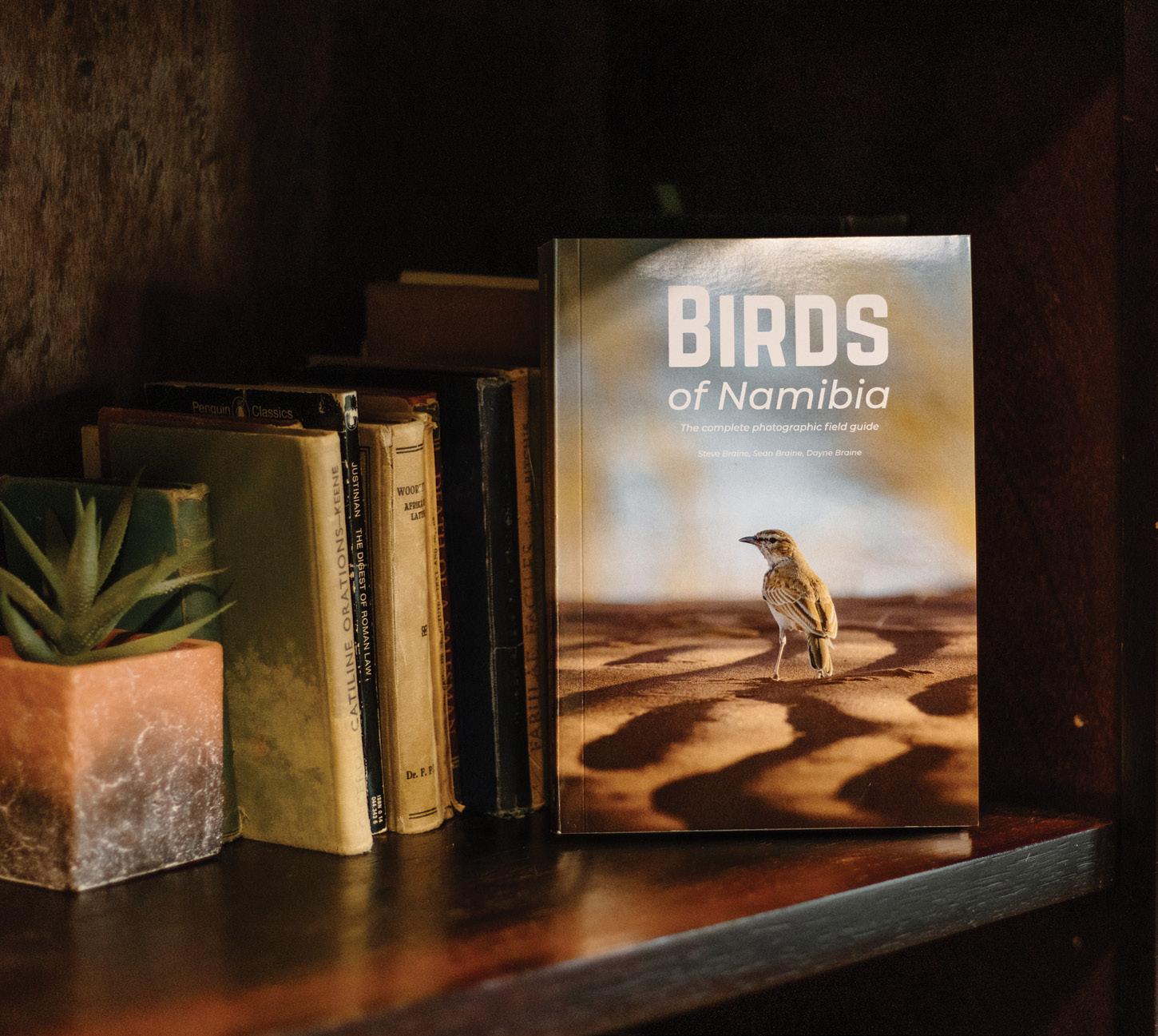 Birds of Namibia A Photographic Field Guide