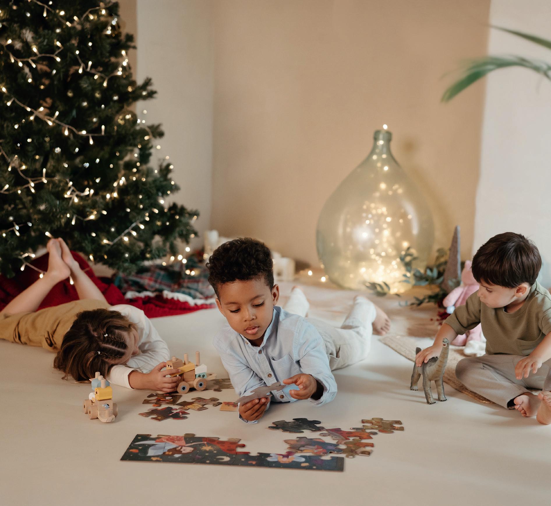 Gaak Aspirapolvere Per Cenere 1200W 20 LITROS, Aspirateur à Cendres