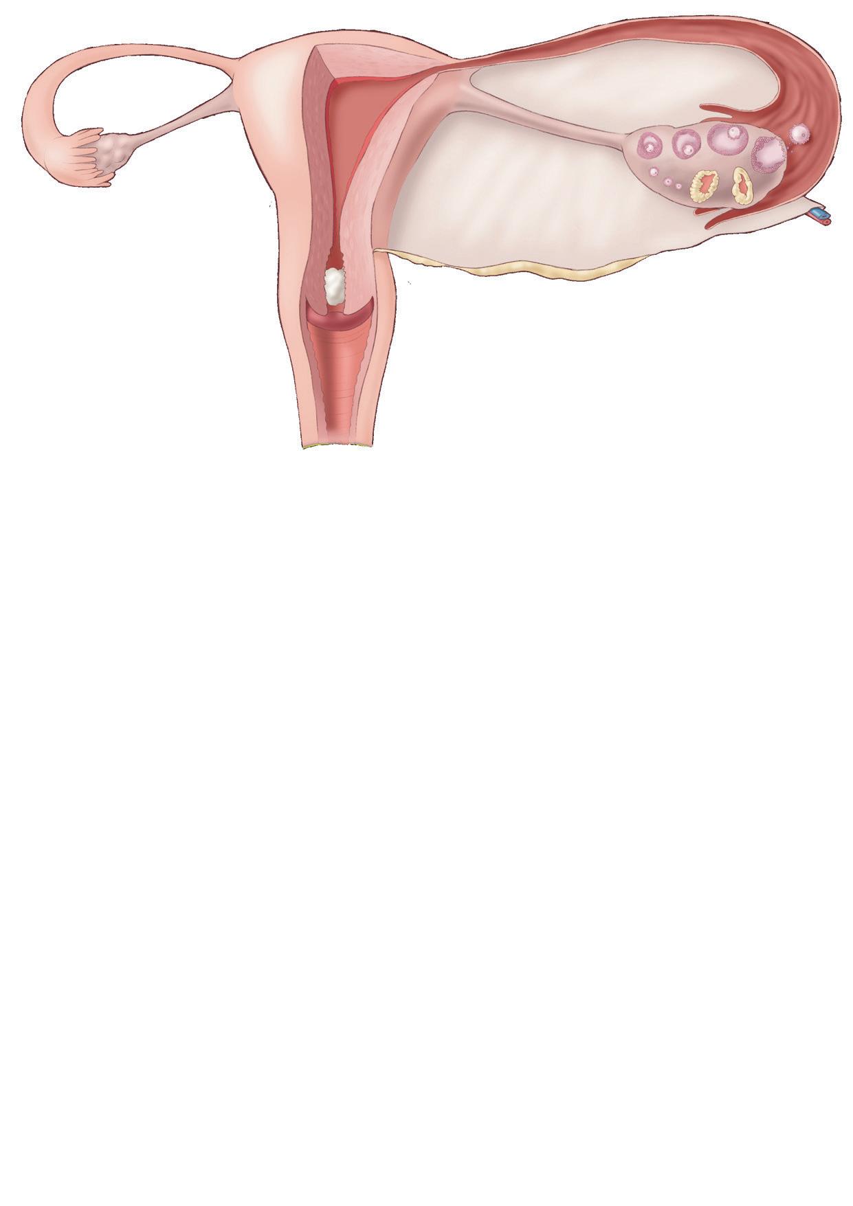 GENIE Natuurwetenschappen 4 - Leerschrift (ed. 2025) by VAN IN - Issuu