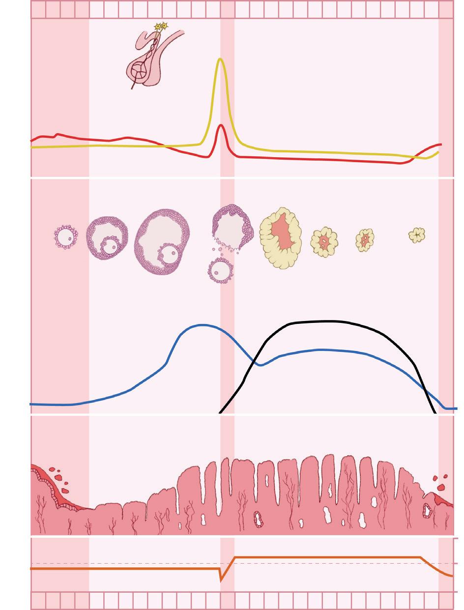 GENIE Natuurwetenschappen 4 - Leerschrift (ed. 2025) by VAN IN - Issuu