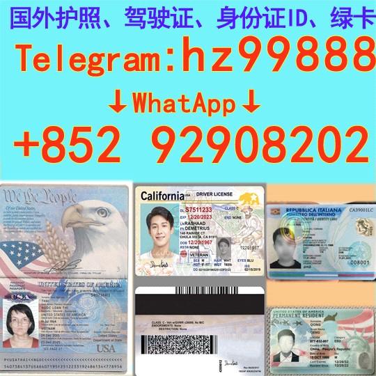 Cover for 购买高仿马尔代夫身份证ID【网址:hk965.com】gn