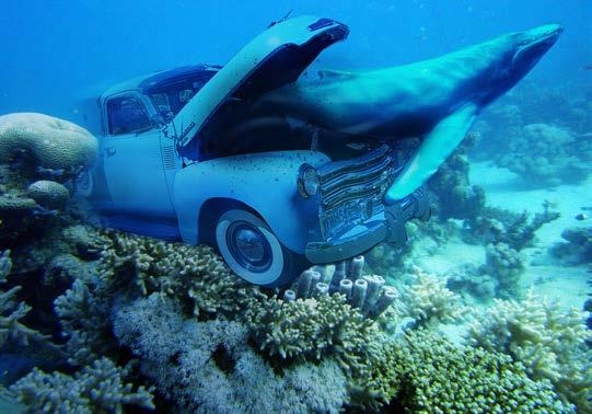 Marsh Indesign Grid Folios by madison - Issuu