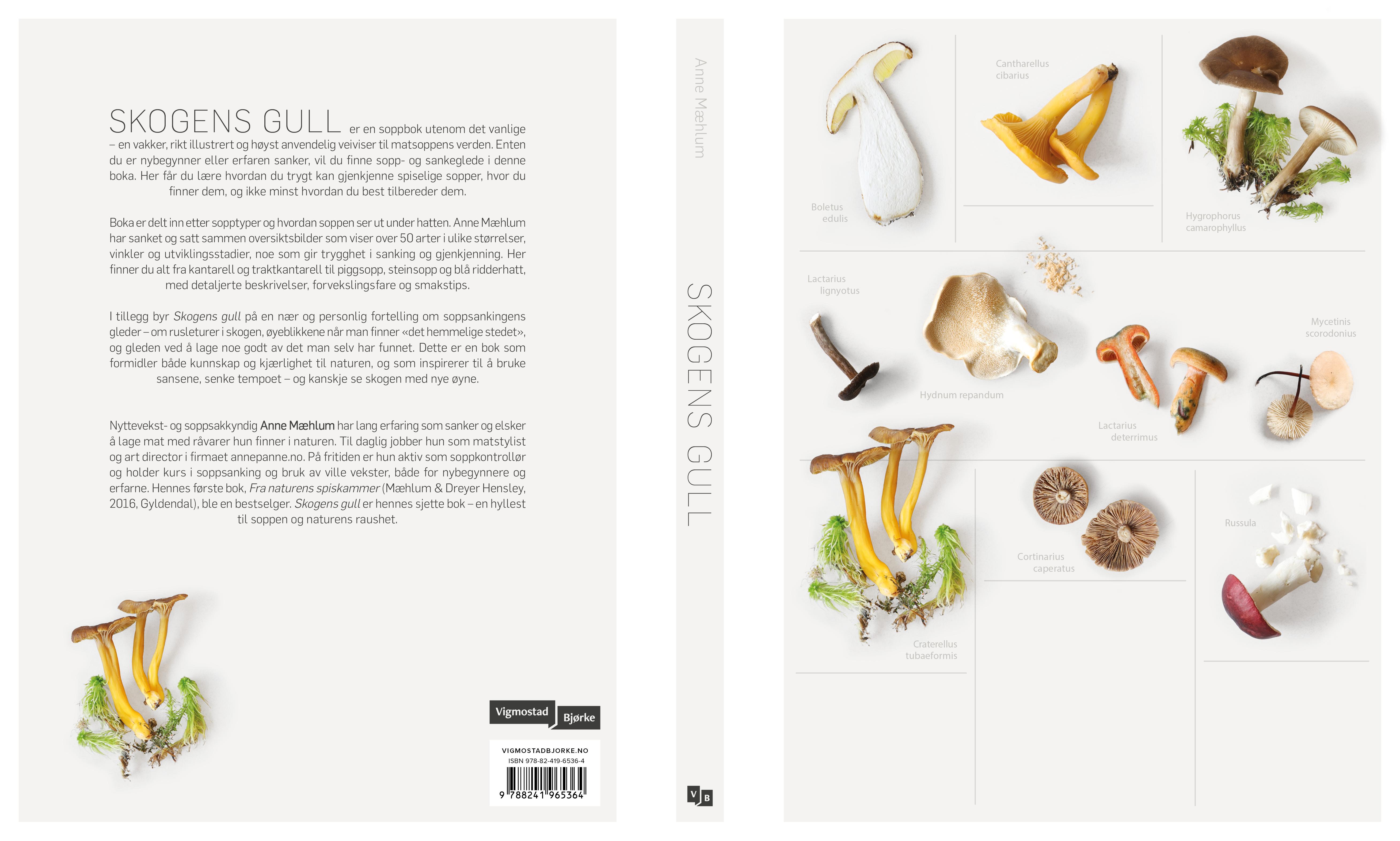 Calendario de Adviento Funko Pop! Harry Potter - Festivo, Multicolor, Talla  Única, image size:5232x3142