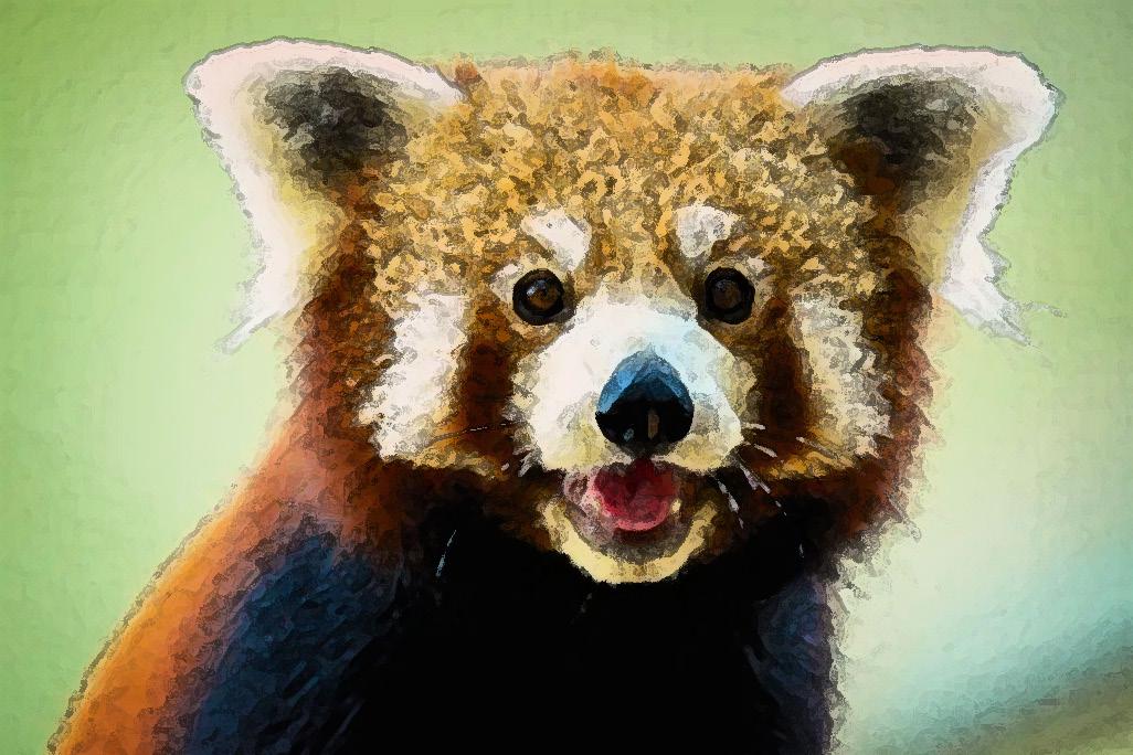 Panda Fiction of Red Panda by Suvrajyoti Chakraborty - Issuu