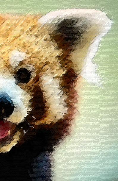 Panda Fiction of Red Panda by Suvrajyoti Chakraborty - Issuu