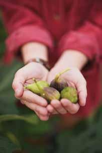 Cover for New & noteworthy